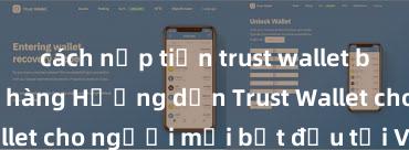 cách nạp tiền trust wallet bằng thẻ ngân hàng Hướng dẫn Trust Wallet cho người mới bắt đầu tại Việt Nam